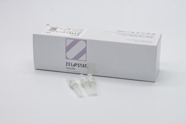 Zelostat UltraLow Deadspace-Nadel 31G 100 stk.